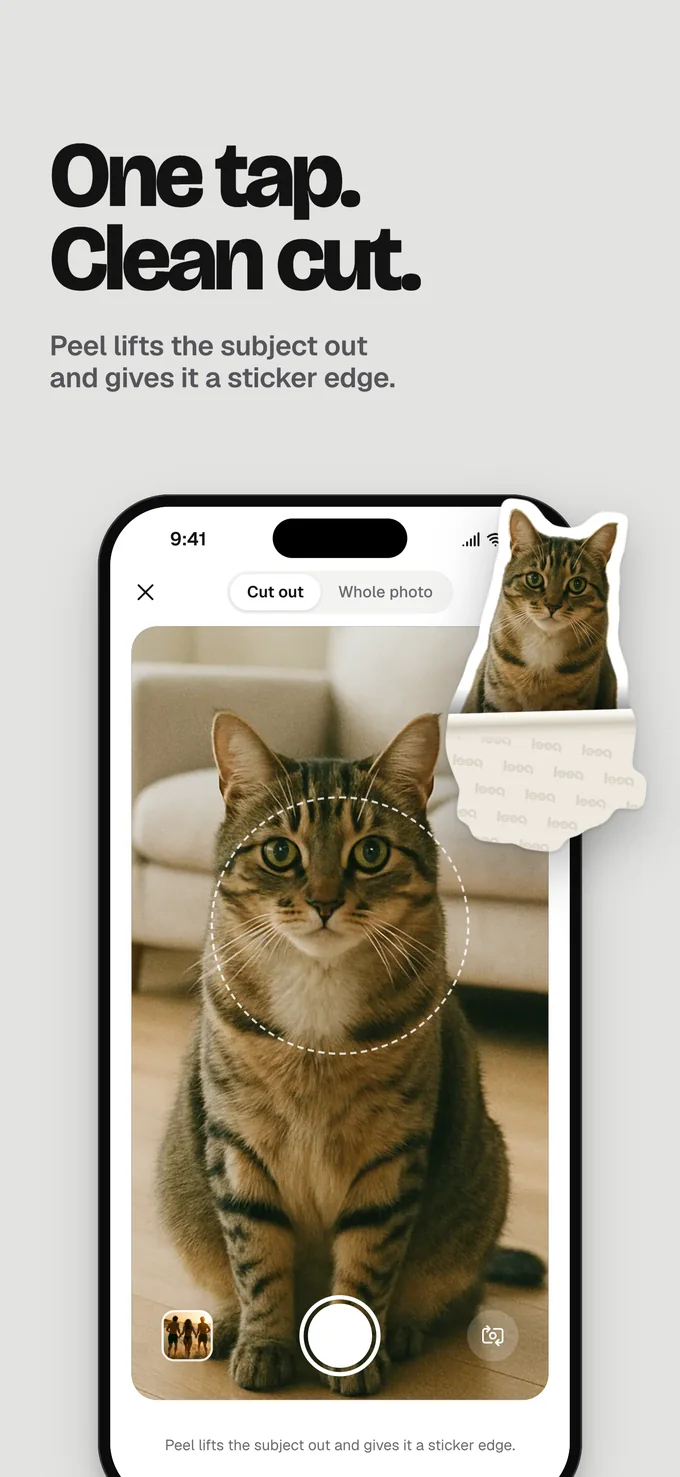 A cat cut out of a photo as a sticker